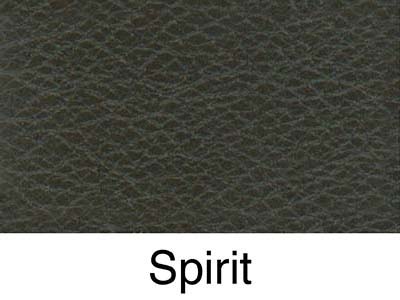 spirit